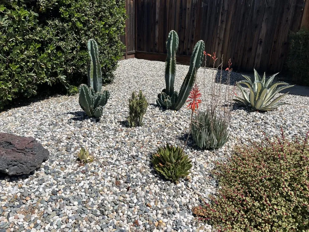 Professional garden landscaping experts serving San Jose, CA - Zin+Ola Landscape Design and Installation