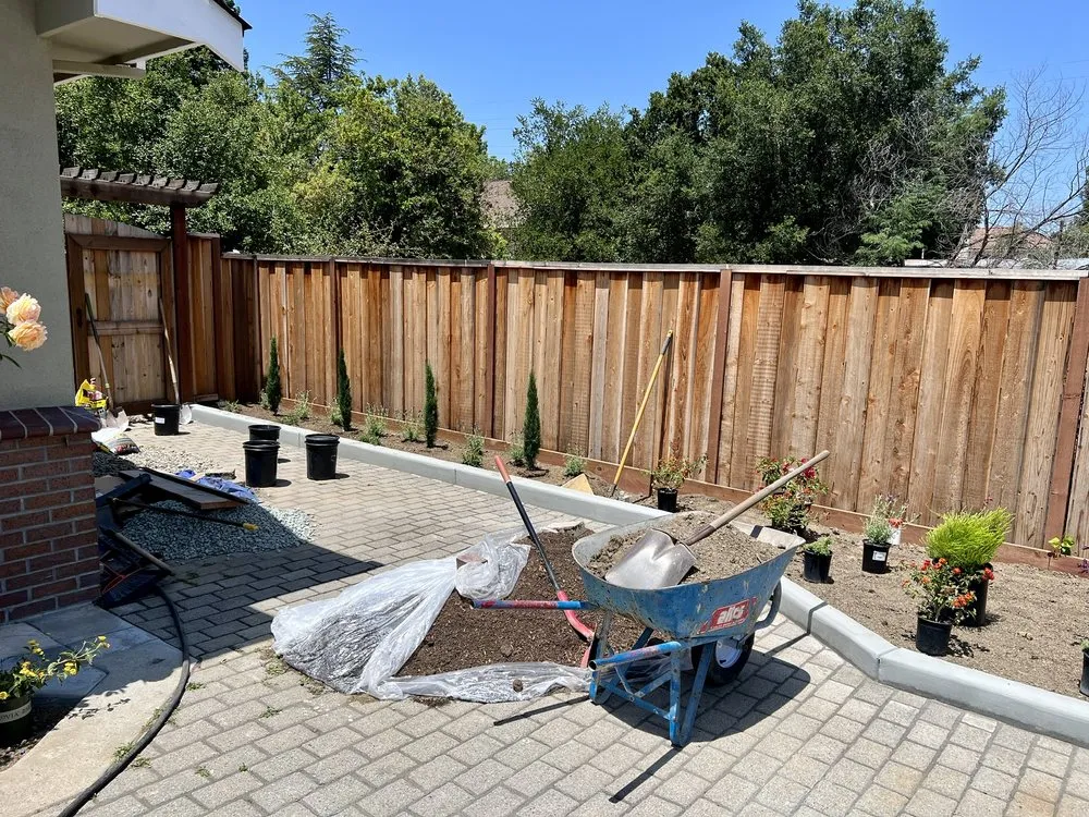 Local yard cleanup service in San Jose, CA - Zin+Ola Landscape Design and Installation