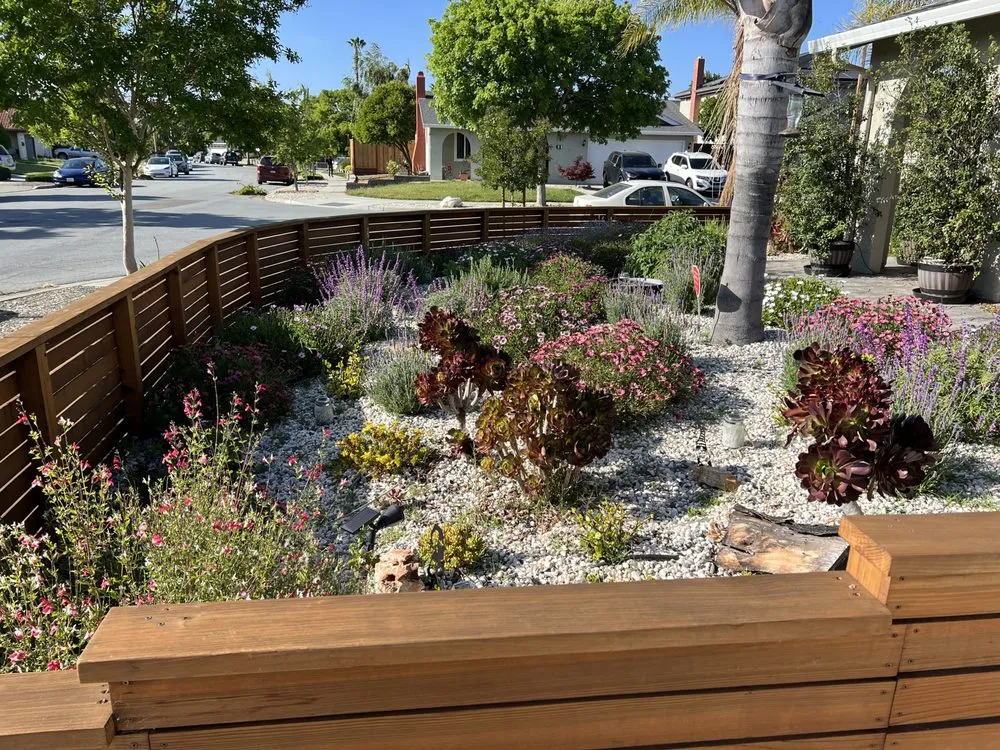 Affordable lawn care service with custom design across San Jose, CA - Zin+Ola Landscape Design and Installation