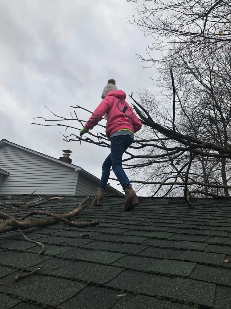 Custom yard cleanup service near you in Painesville, OH by Zion Artisan