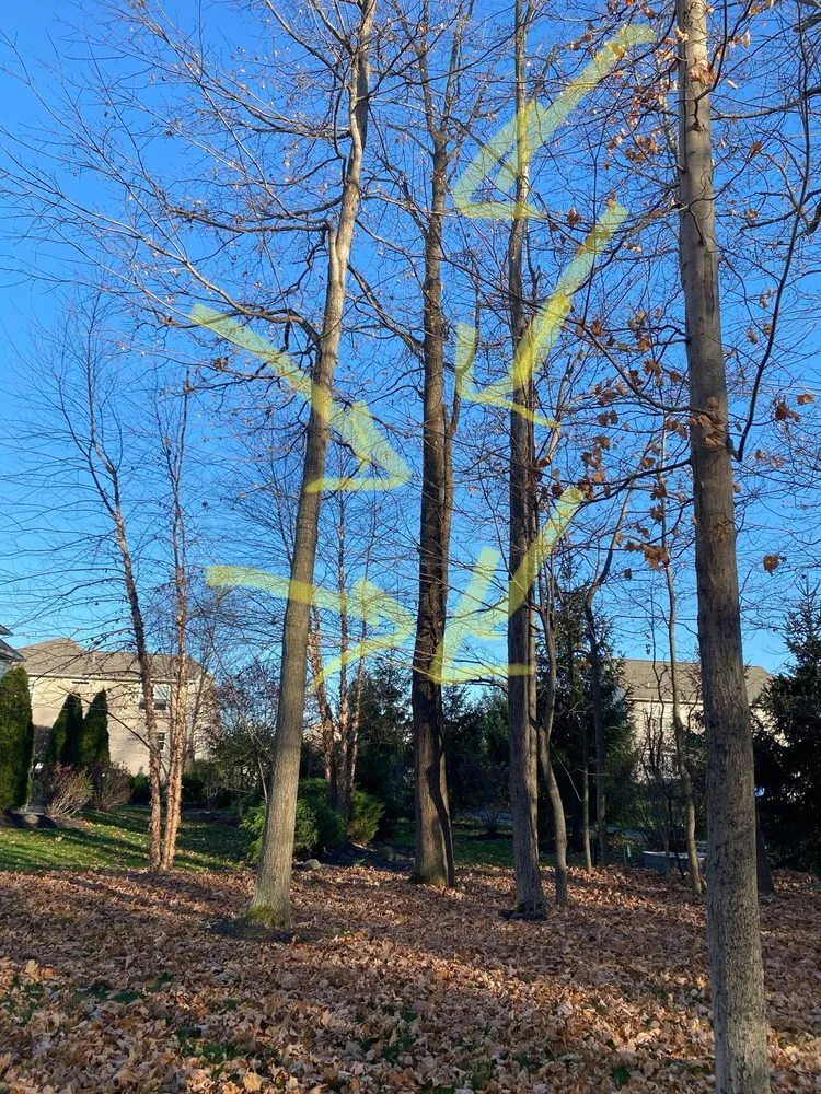 Professional landscape installation experts serving Painesville, OH - Zion Artisan