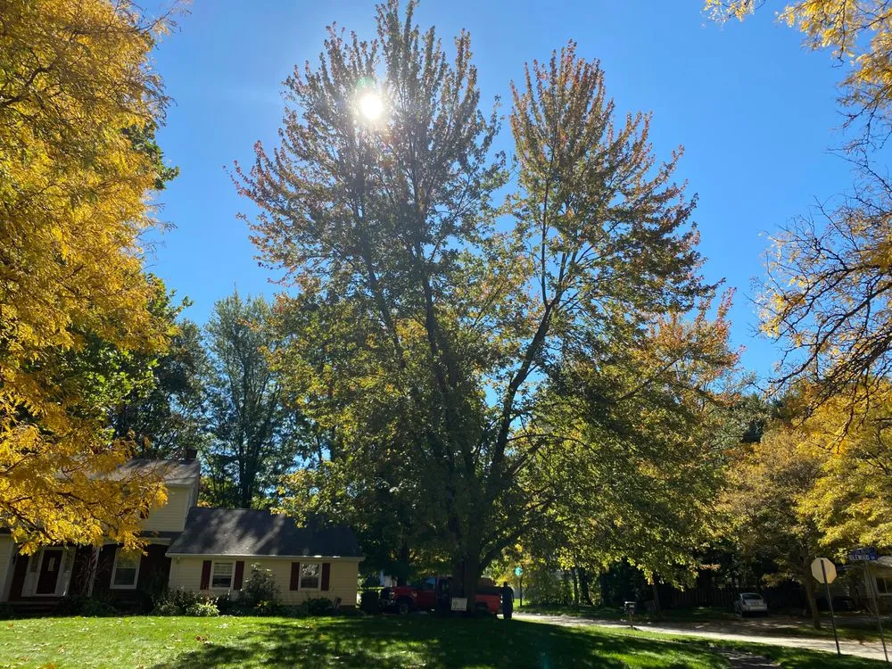 Professional lawn mowing service for year-round maintenance across Painesville, OH - Zion Artisan