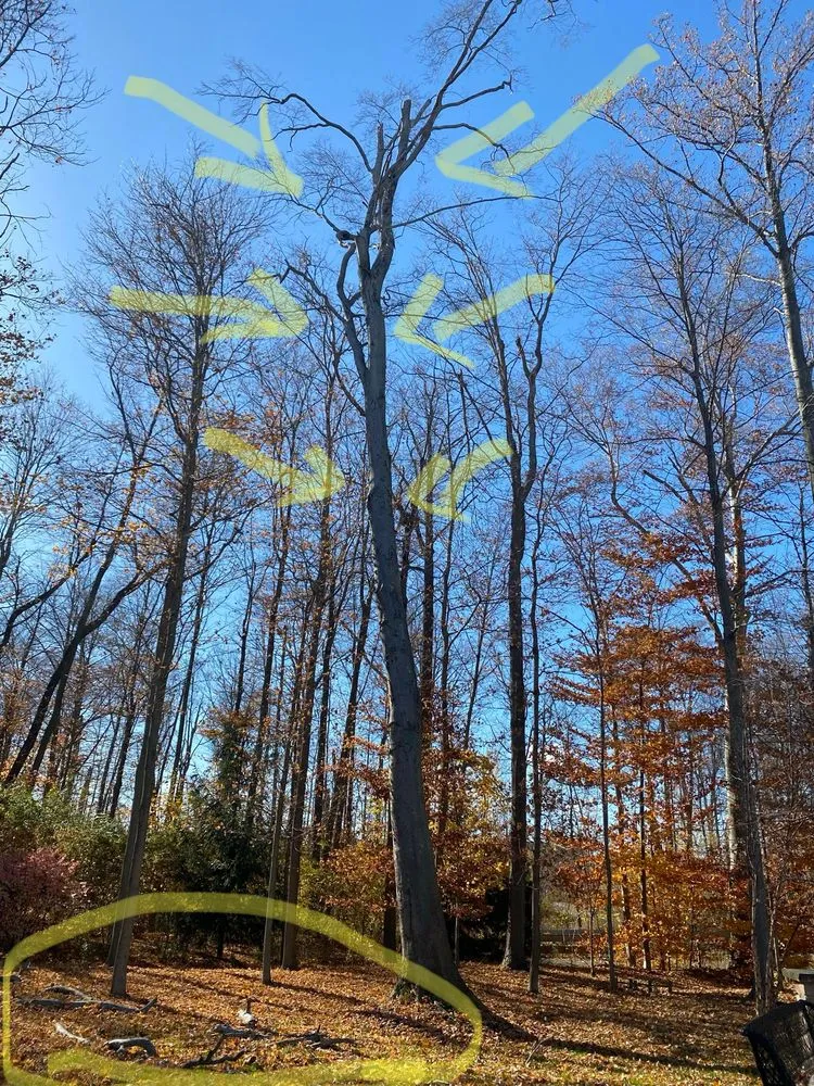 Expert yard maintenance for residential properties in Painesville, OH by Zion Artisan