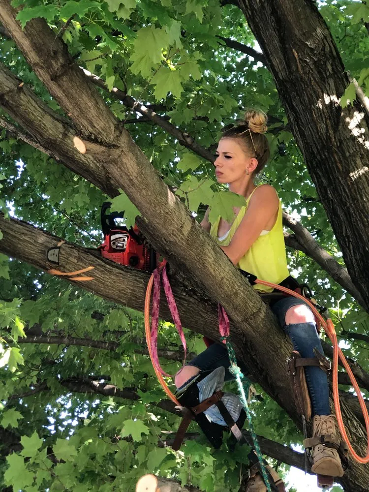 Top-rated residential landscaping in Painesville, OH - Zion Artisan