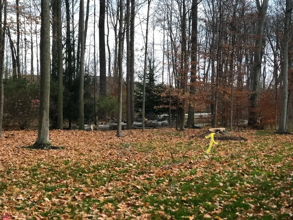 Top-rated lawn care service in Painesville, OH by Zion Artisan