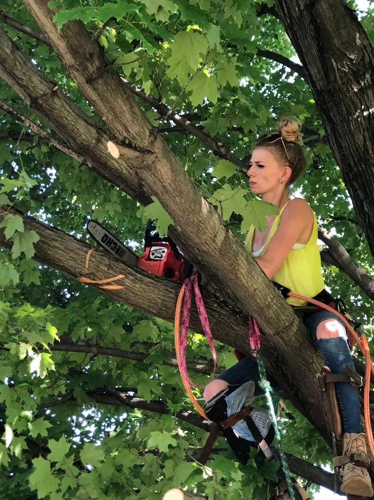 Expert lawn mowing service for homes in Painesville, OH by Zion Artisan