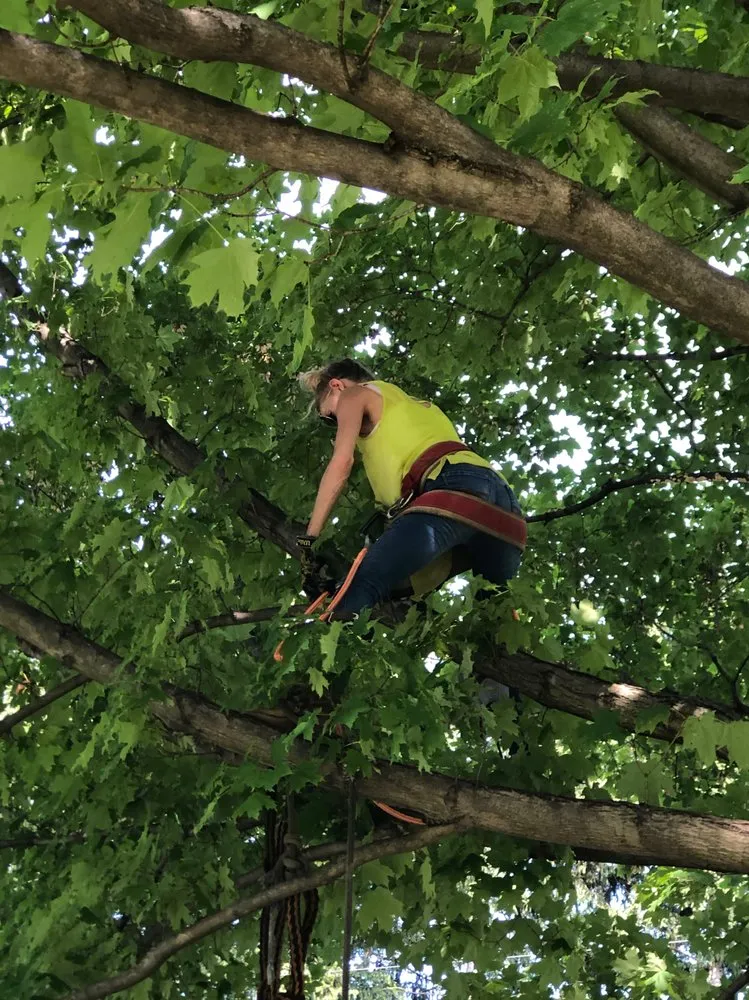 Local yard maintenance in Painesville, OH - Zion Artisan