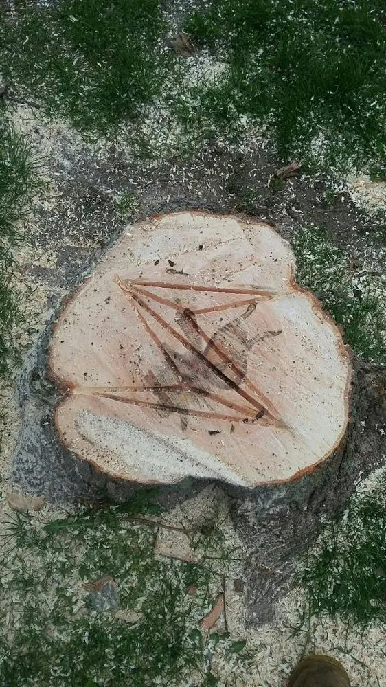 Local yard maintenance in Painesville, OH - Zion Artisan