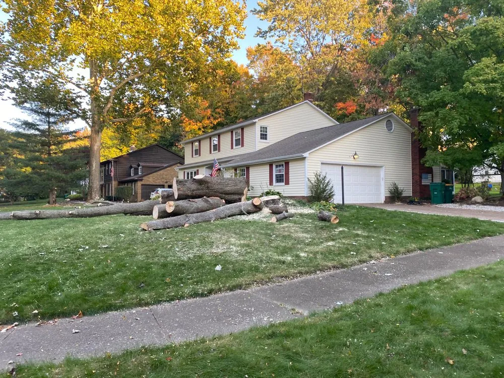 Expert landscaping services for outdoor upgrades across Painesville, OH - Zion Artisan