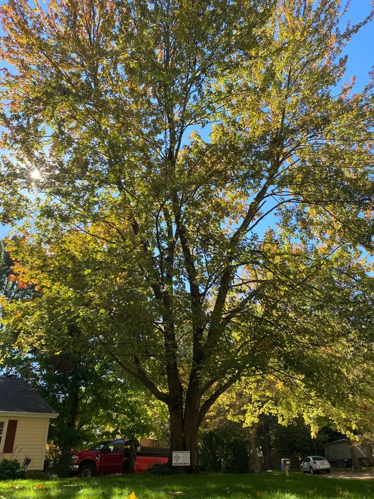 Top-rated yard maintenance for year-round maintenance in Painesville, OH by Zion Artisan