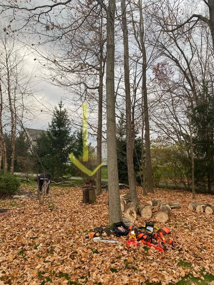 Expert residential landscaping for residential properties in Painesville, OH by Zion Artisan