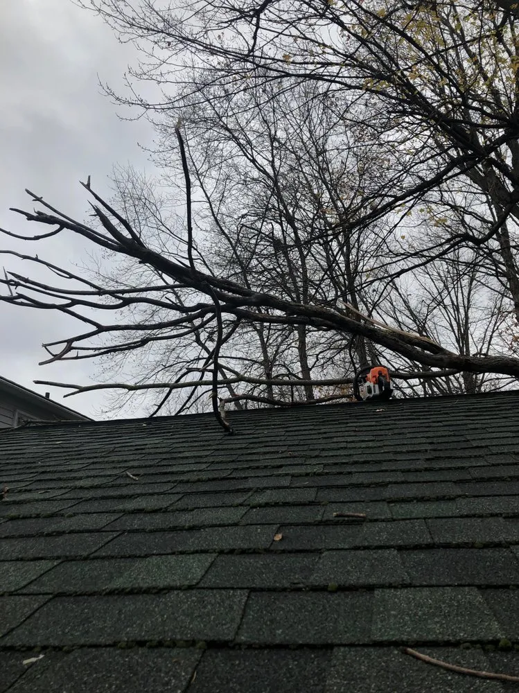 Professional landscape design for outdoor upgrades in Painesville, OH by Zion Artisan