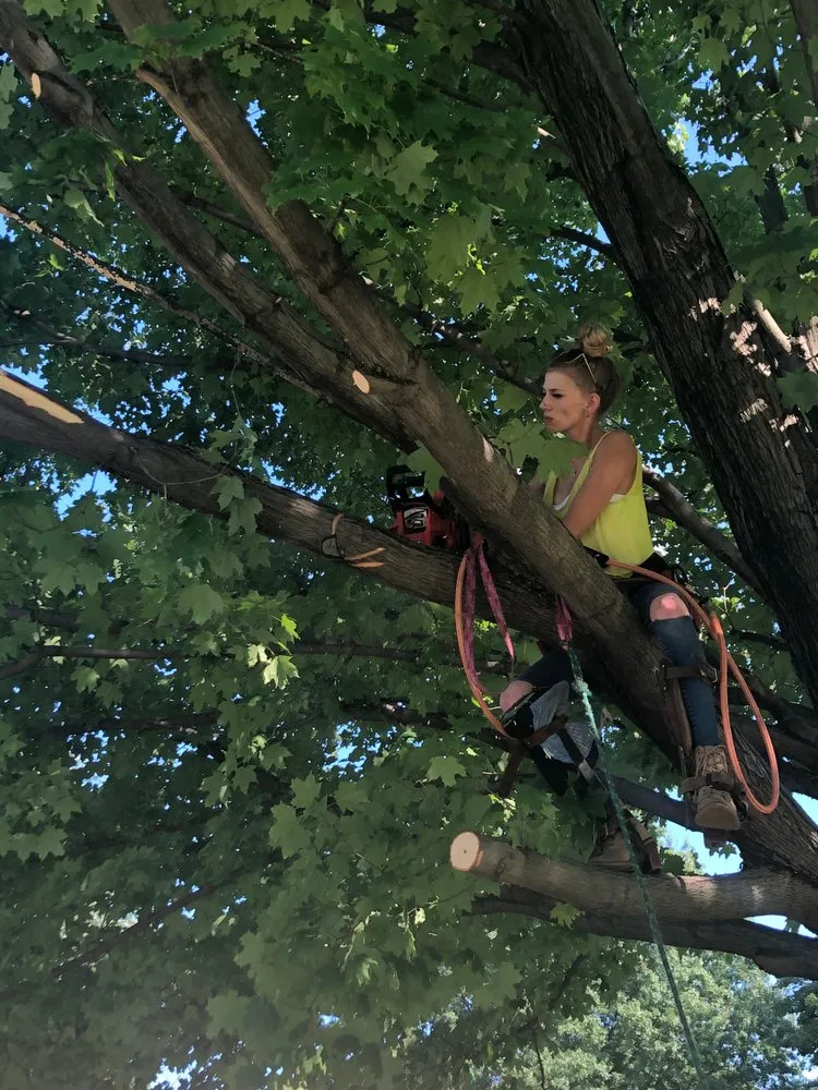 Expert landscaping services near you across Painesville, OH - Zion Artisan