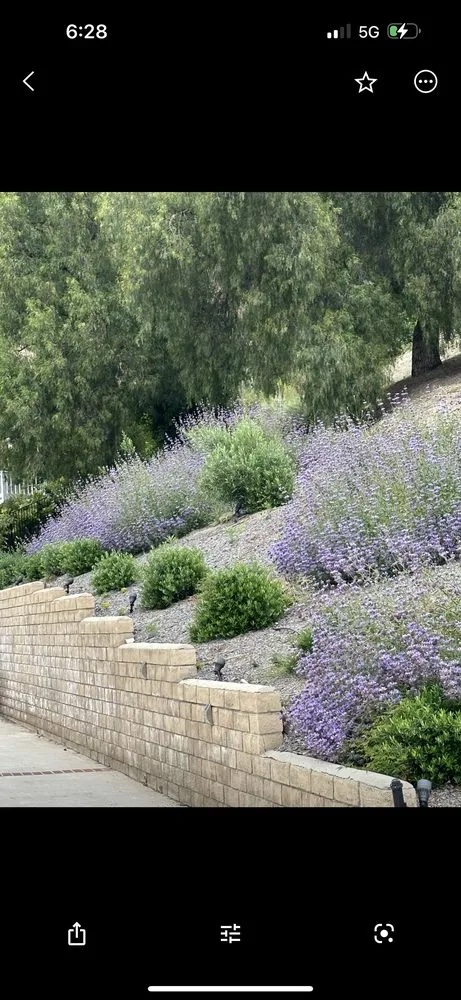 Expert landscaping services for homes in West Hills, CA by Zion Landscape