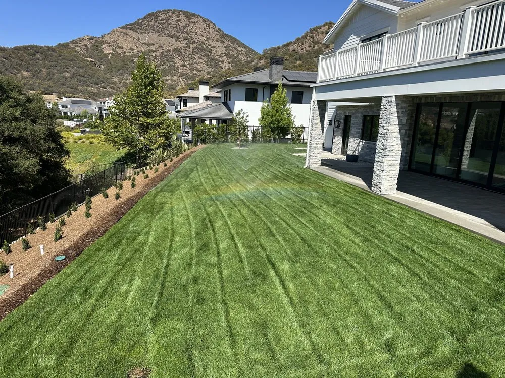 Local yard cleanup service in West Hills, CA by Zion Landscape