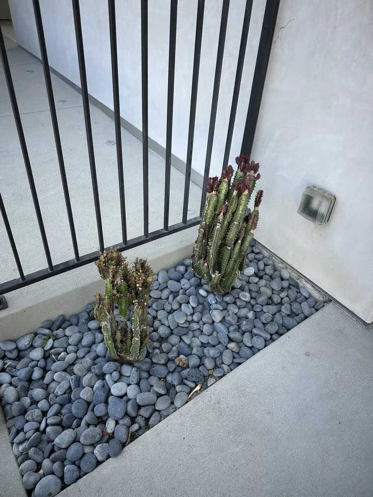 Expert outdoor landscaping experts serving West Hills, CA - Zion Landscape