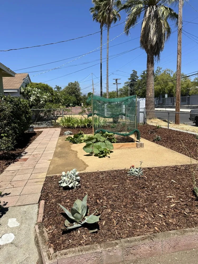 Reliable lawn care service in West Hills, CA by Zion Landscape