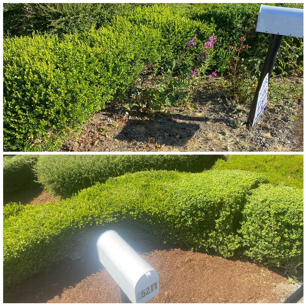 Local garden landscaping in Lynnwood, WA by Zion Landscaping and Construction Services