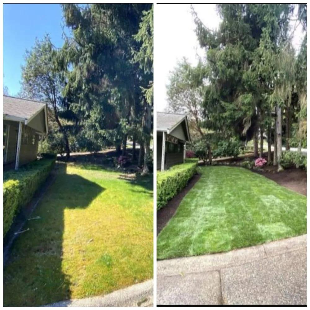 Reliable lawn care service for homes across Lynnwood, WA - Zion Landscaping and Construction Services