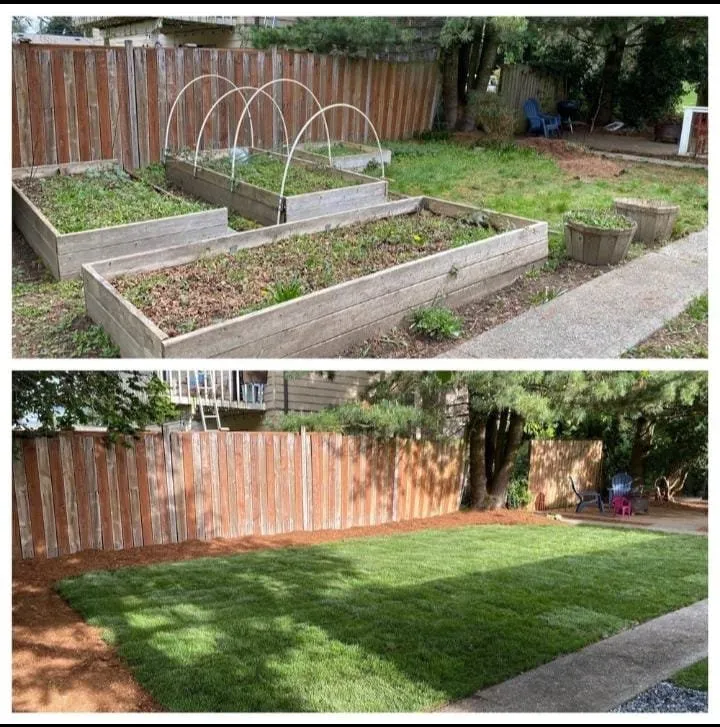 Custom lawn mowing service in Lynnwood, WA - Zion Landscaping and Construction Services