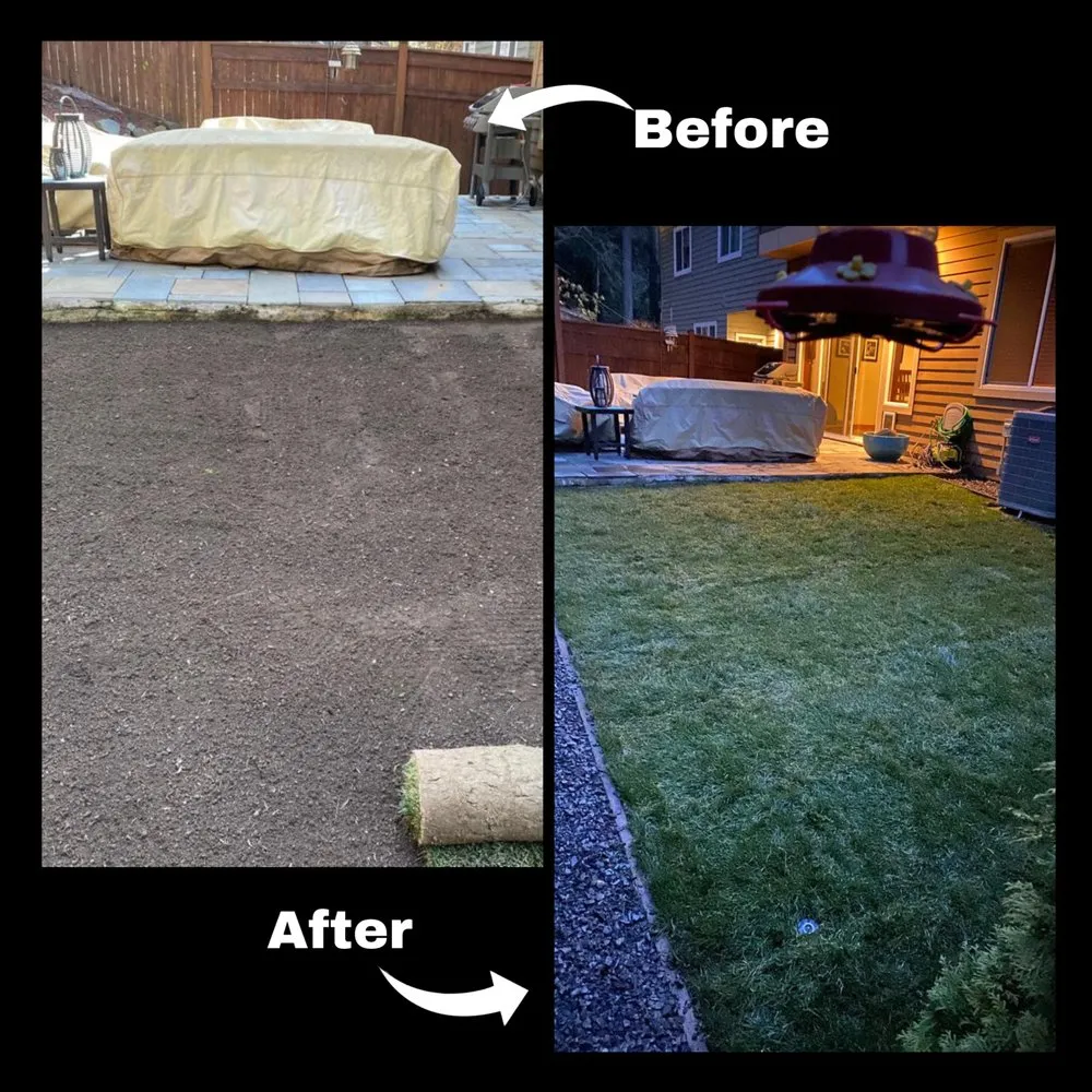 Top-rated outdoor landscaping in Lynnwood, WA - Zion Landscaping and Construction Services