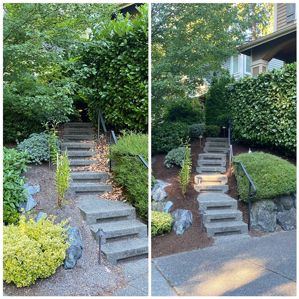 Reliable landscape design in Lynnwood, WA - Zion Landscaping and Construction Services