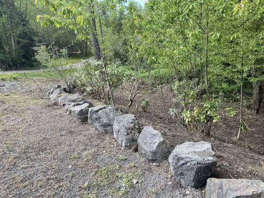 Zion Landscaping and Construction Services Logo