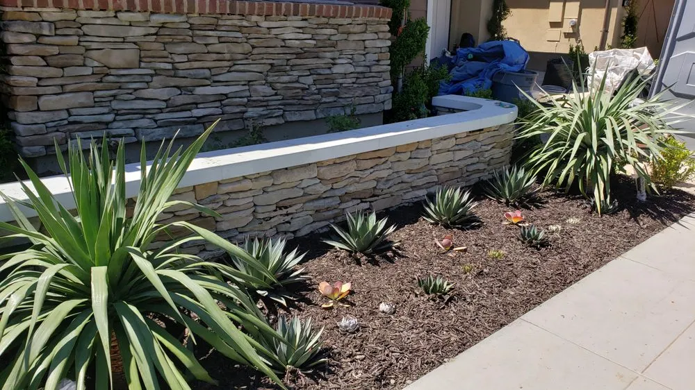 Reliable yard cleanup service experts serving Irvine, CA - Zion Landscaping