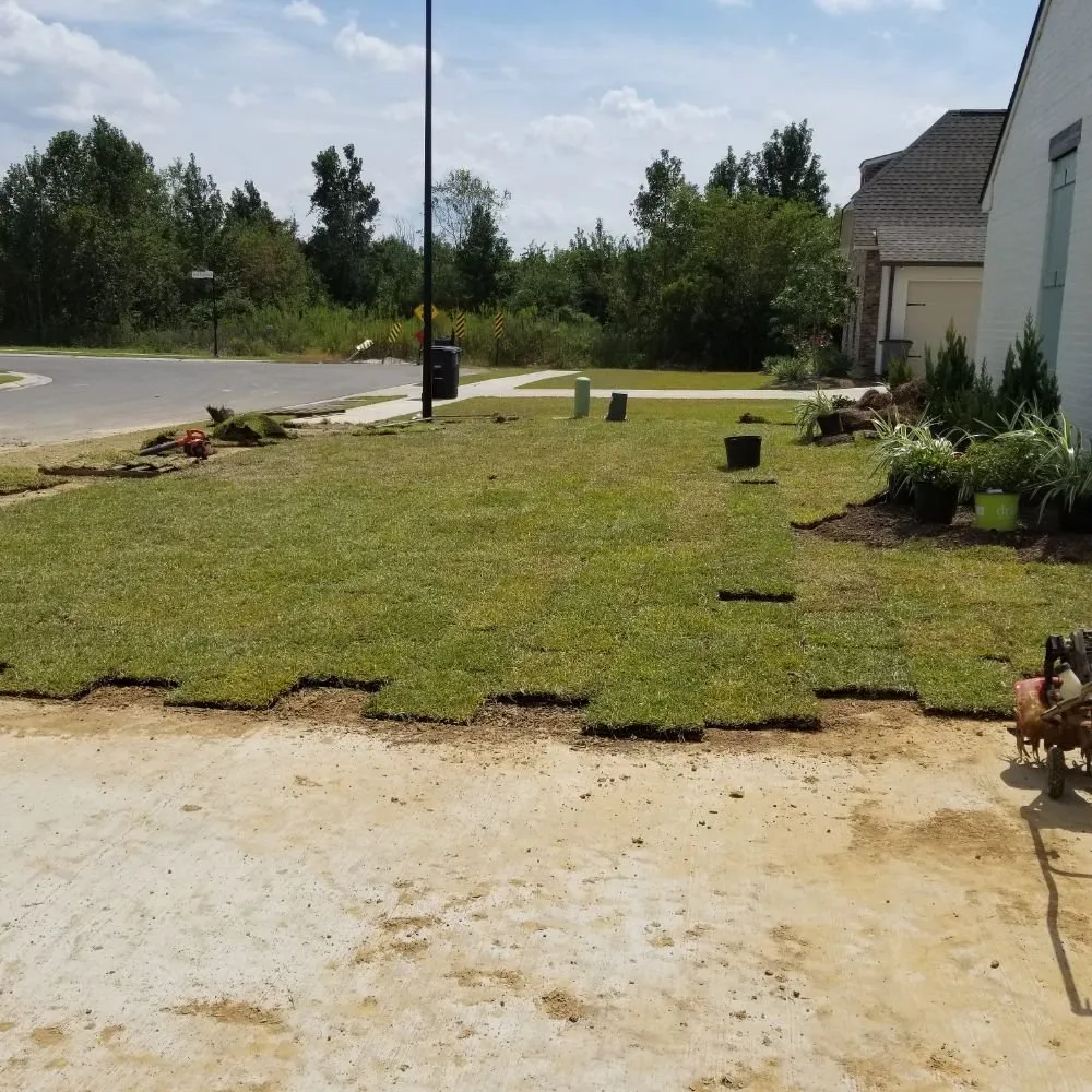 Custom landscape design in Baton Rouge, LA by Zion Lawn & Landscape