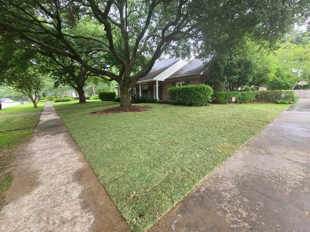 Professional lawn mowing service in Baton Rouge, LA by Zion Lawn & Landscape