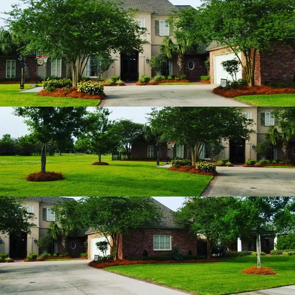 Affordable garden landscaping in Baton Rouge, LA - Zion Lawn & Landscape