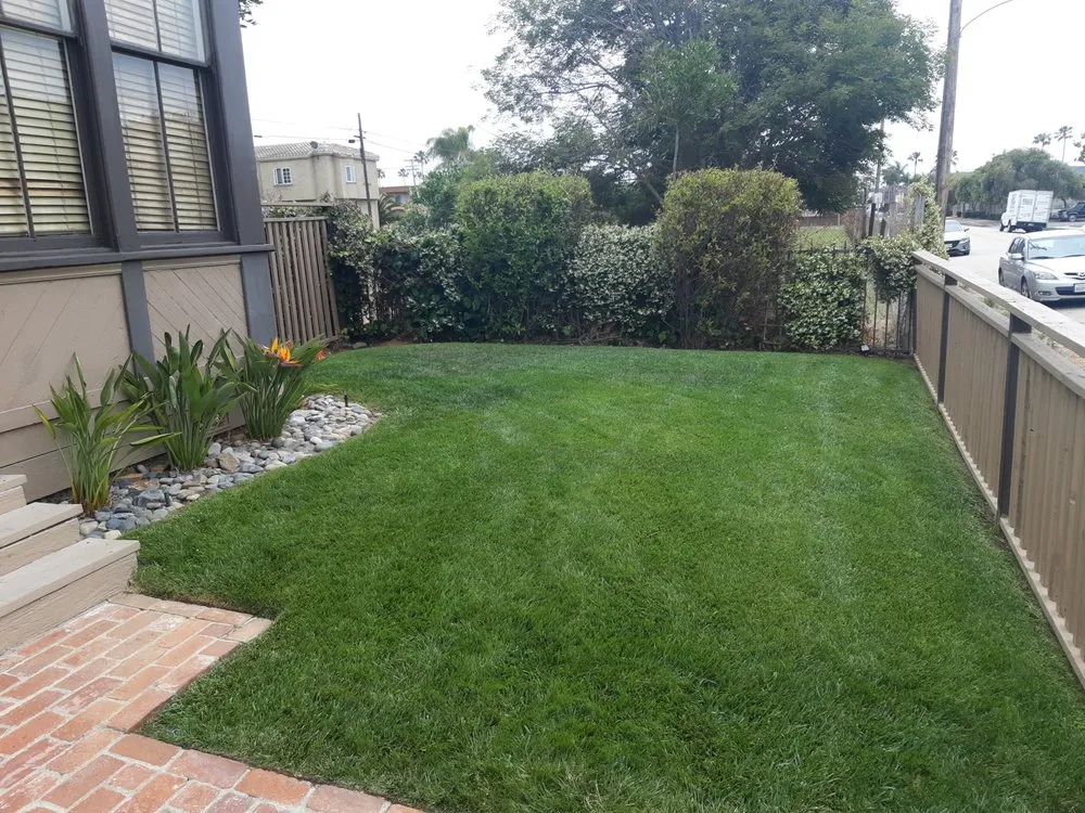 Expert outdoor landscaping in San Marcos, CA by Zion Lawn Care & Maintenance