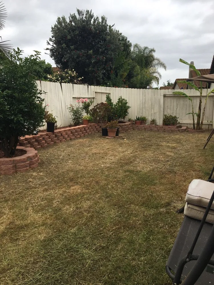 Custom residential landscaping for year-round maintenance in San Marcos, CA by Zion Lawn Care & Maintenance