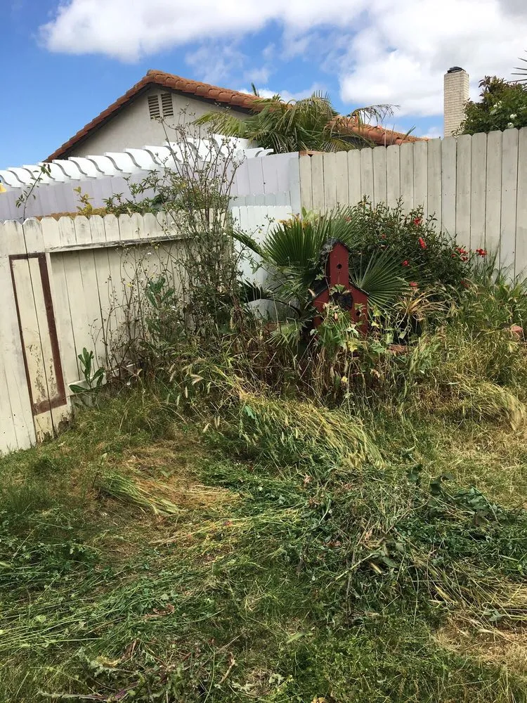 Expert landscape installation in San Marcos, CA - Zion Lawn Care & Maintenance