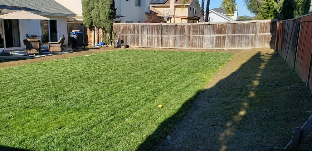 Expert landscape installation for residential properties across San Marcos, CA - Zion Lawn Care & Maintenance