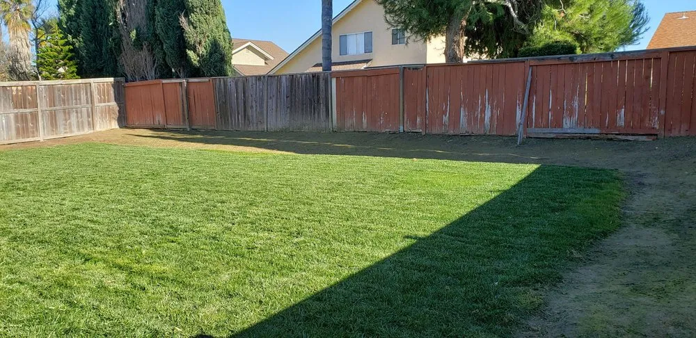 Professional lawn care service with custom design across San Marcos, CA - Zion Lawn Care & Maintenance