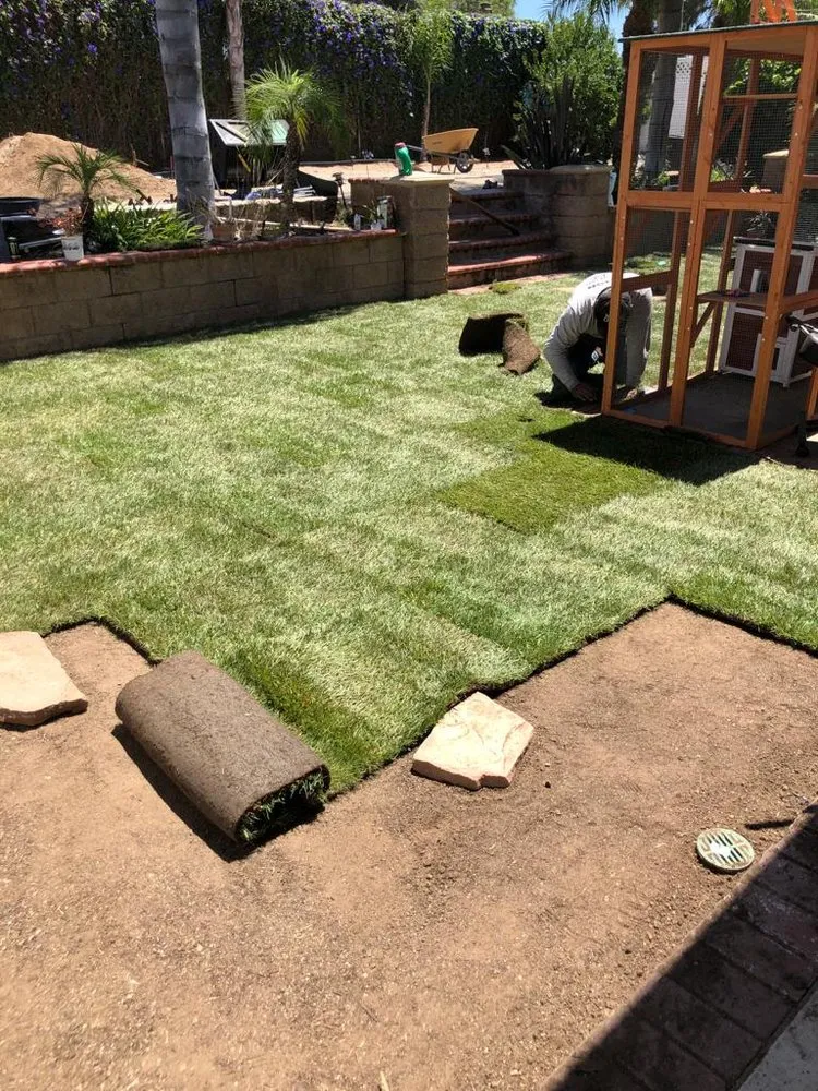 Expert yard maintenance near you in San Marcos, CA by Zion Lawn Care & Maintenance