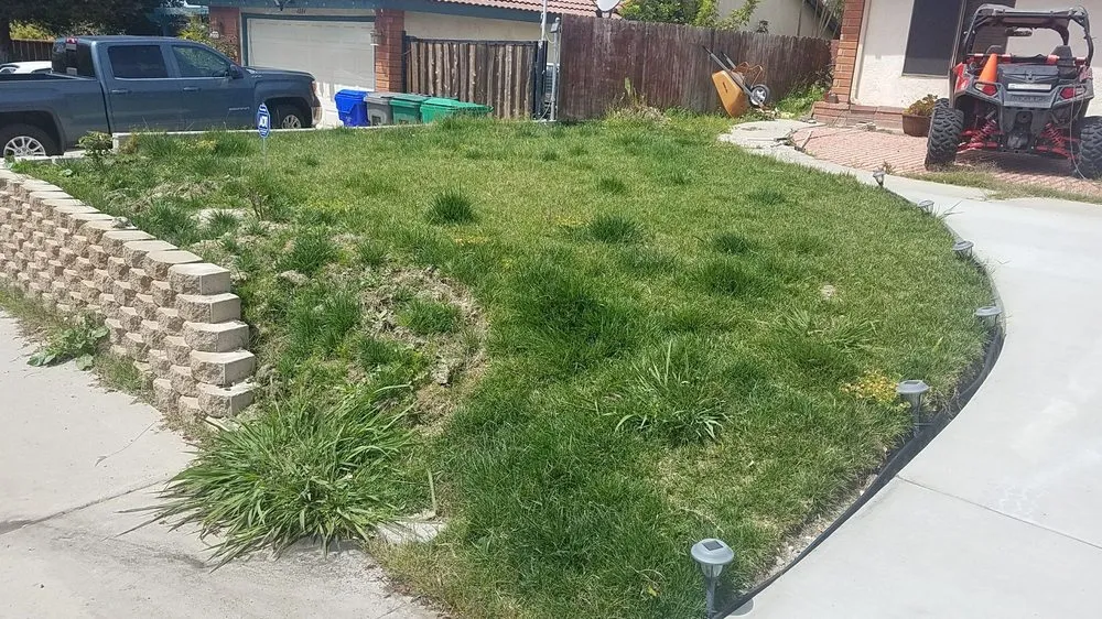 Custom landscape installation with custom design in San Marcos, CA by Zion Lawn Care & Maintenance
