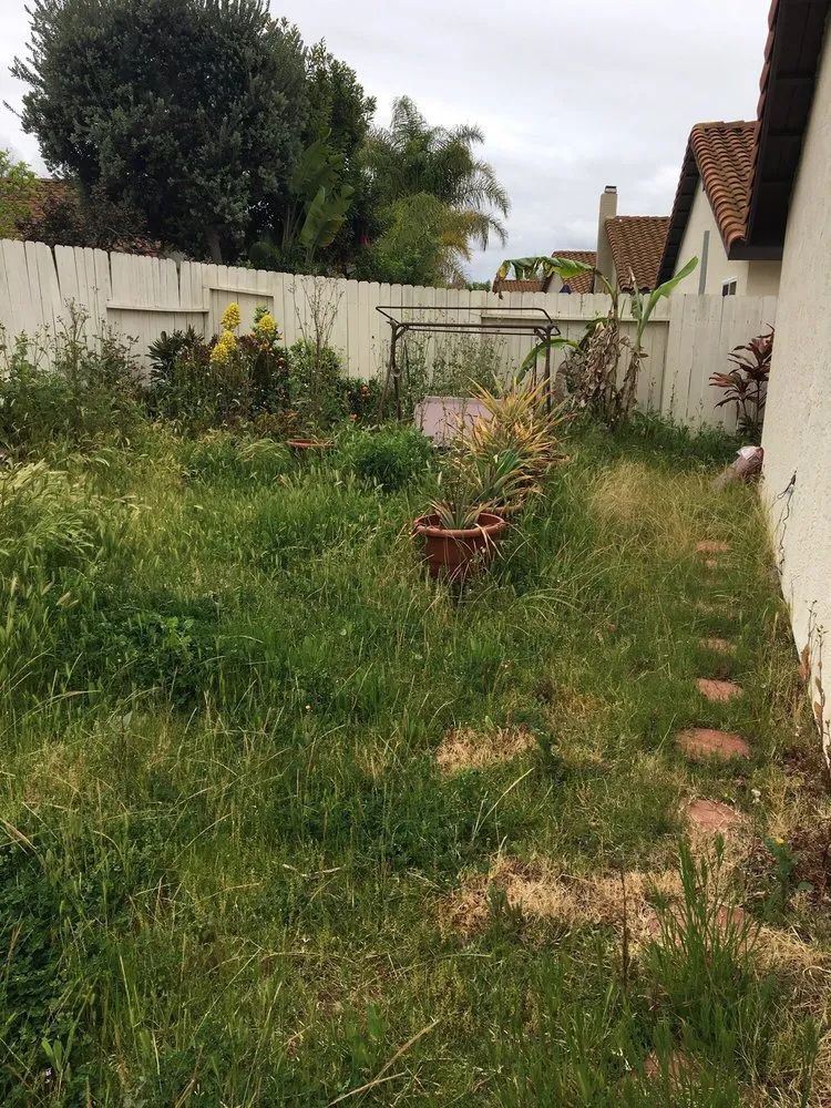 Top-rated landscape design in San Marcos, CA by Zion Lawn Care & Maintenance