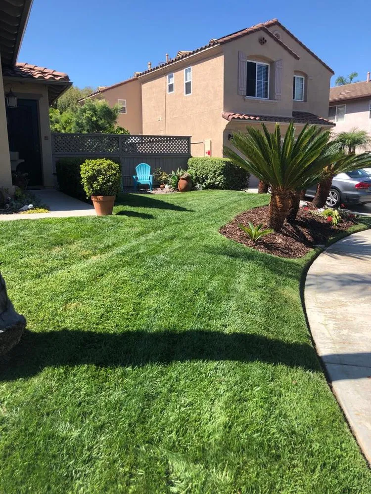 Reliable yard maintenance experts serving San Marcos, CA - Zion Lawn Care & Maintenance