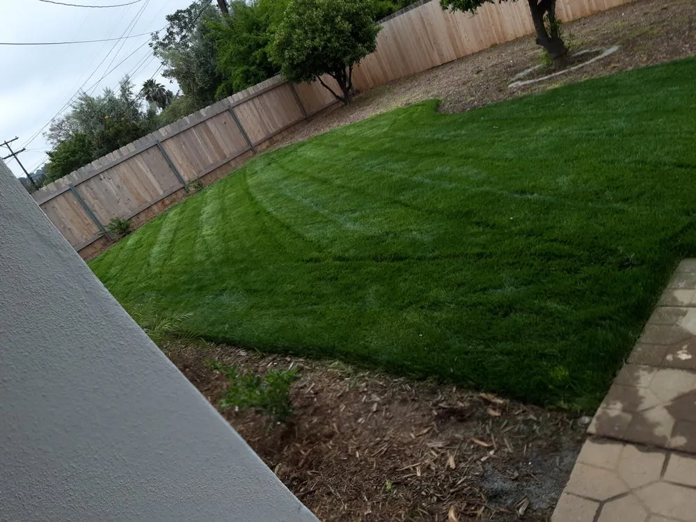 Professional landscape installation in San Marcos, CA - Zion Lawn Care & Maintenance