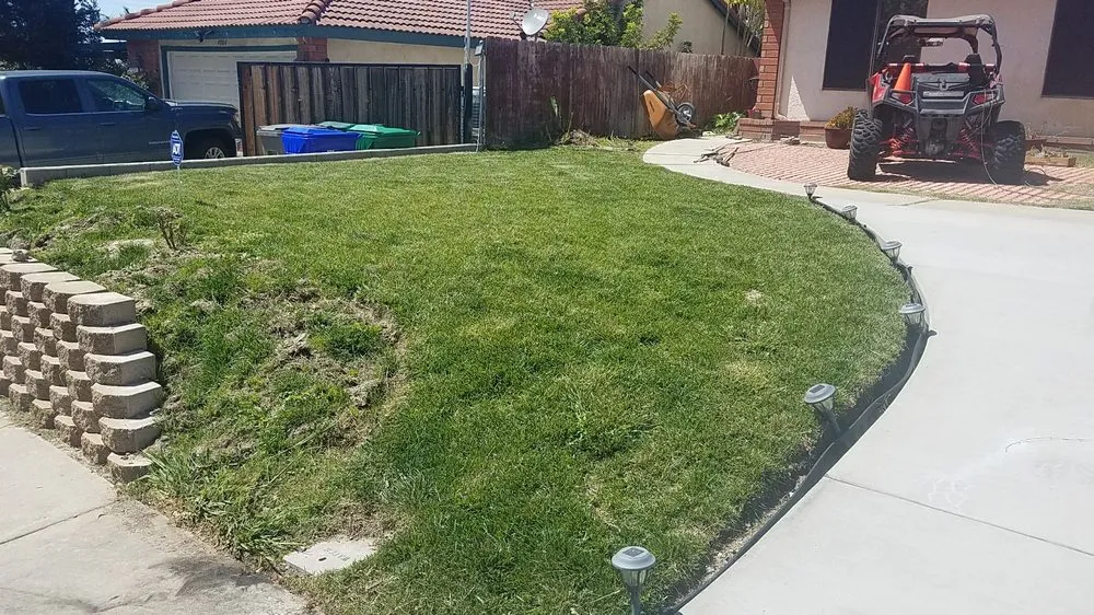 Reliable lawn care service for beautiful yards across San Marcos, CA - Zion Lawn Care & Maintenance