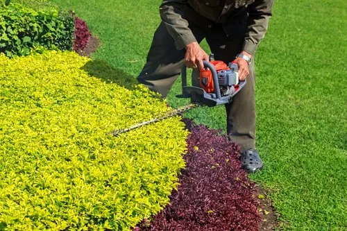 Local residential landscaping in San Antonio, TX - Zion Lawn Care