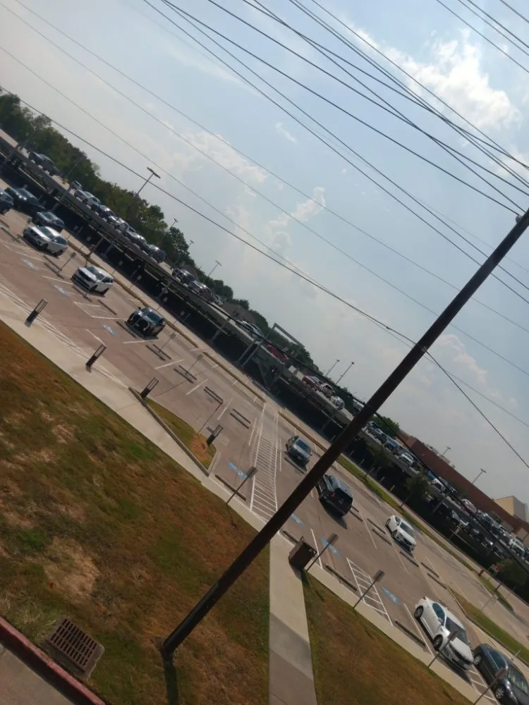 Affordable yard maintenance in Mont Belvieu, TX - Zion's Lawn Scaping