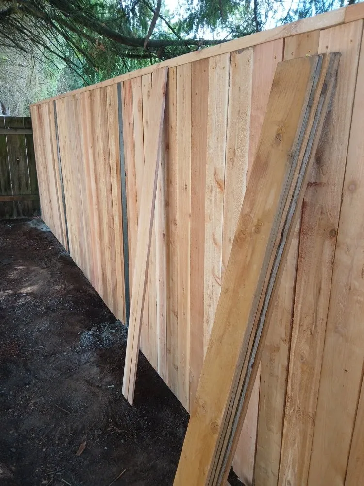 Trusted lawn care service experts serving Forest Grove, OR - Zip