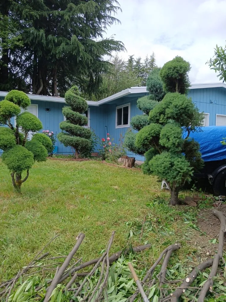 Expert outdoor landscaping experts serving Forest Grove, OR - Zip