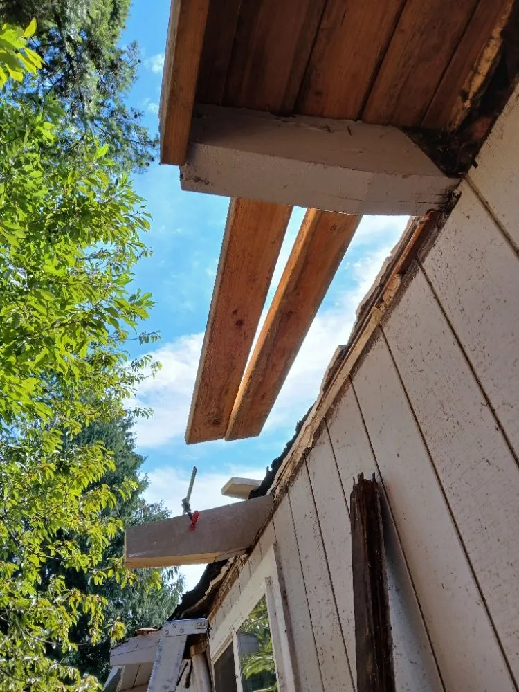 Expert garden landscaping for beautiful yards across Forest Grove, OR - Zip