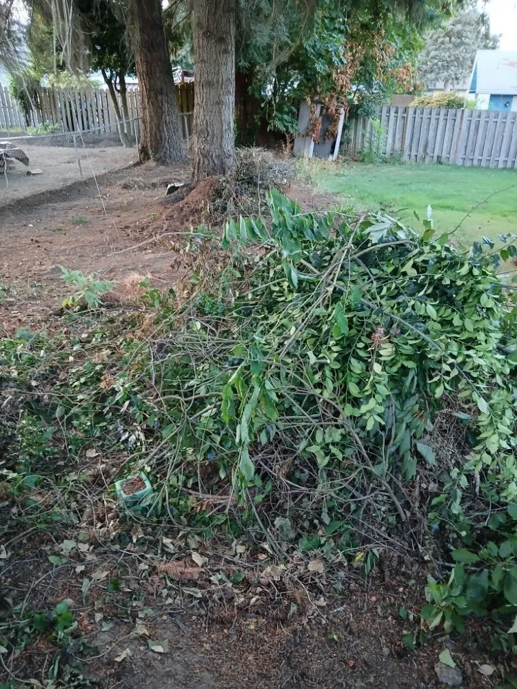 Custom landscape design near you in Forest Grove, OR by Zip