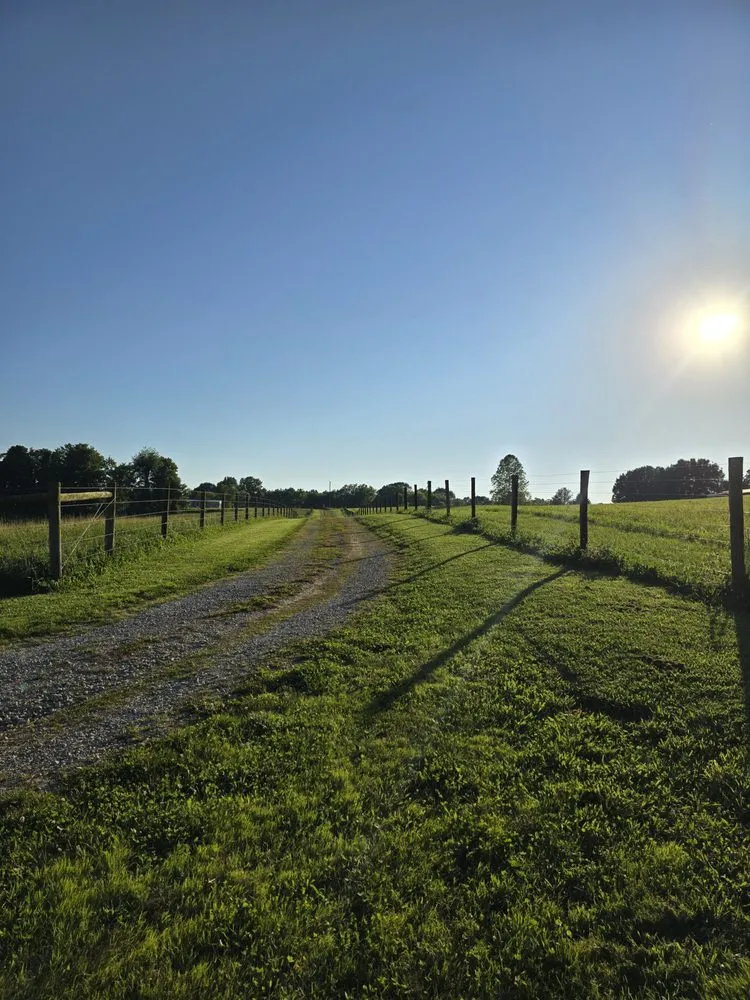 Affordable residential landscaping in Glasgow, KY by Zip-it Lawn Care