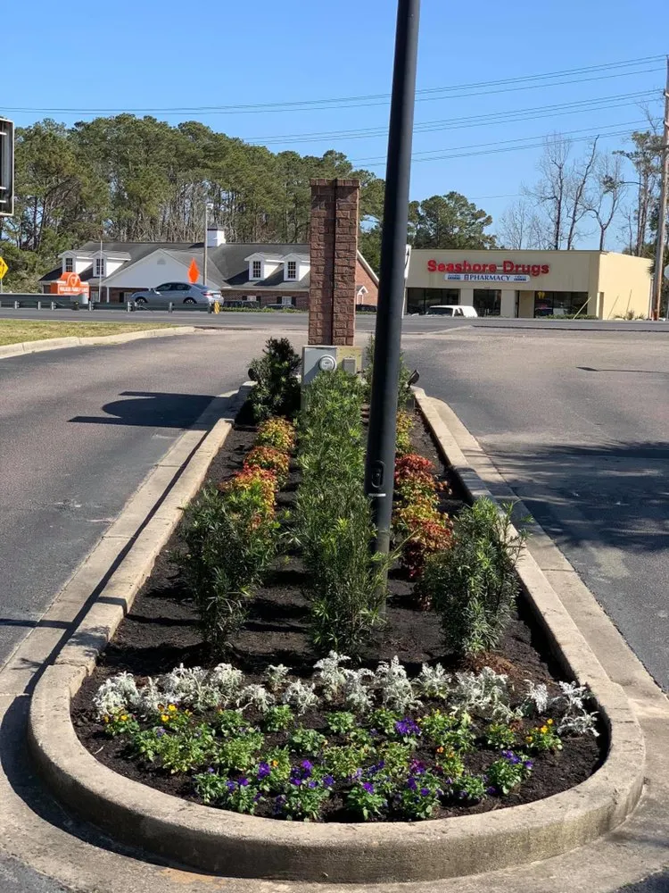 Local landscape design in Myrtle Beach, SC by Zip Landscapes